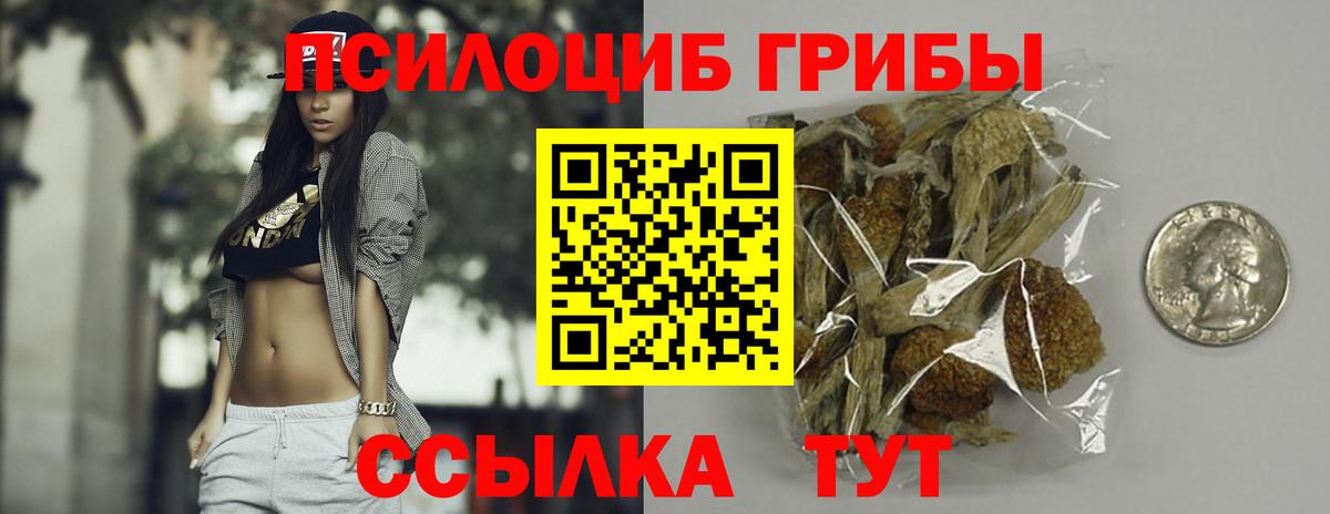 Галлюциногенные грибы Cubensis Дальнереченск