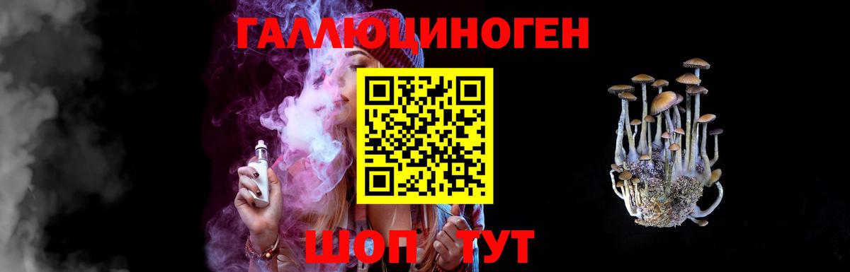 Псилоцибиновые грибы GOLDEN TEACHER  Вход с VPN  Дальнереченск 